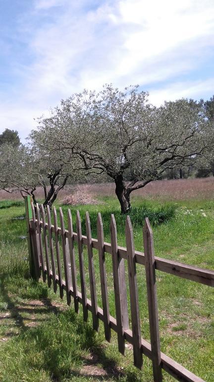 Le Clos Olives Comps  Kültér fotó